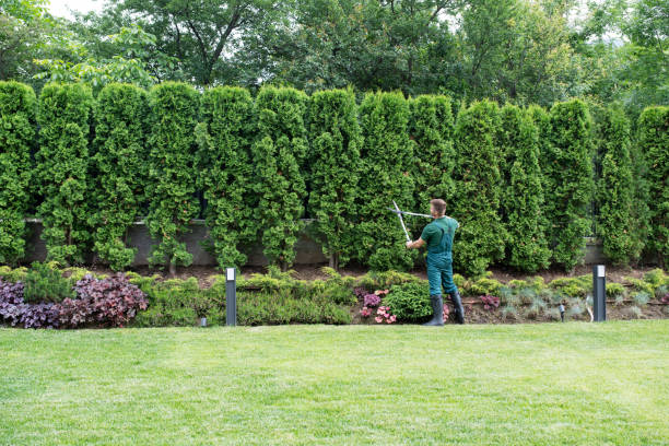 Best Tree Trimming and Pruning  in Lower Grand Lagoon, FL